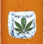 CSWISS Ledus Tēja ar Kaņepju garšu  250m